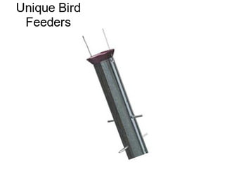 Unique Bird Feeders