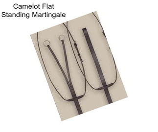 Camelot Flat Standing Martingale