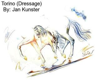 Torino (Dressage) By: Jan Kunster