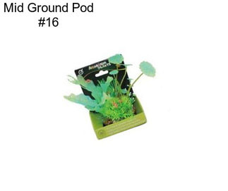 Mid Ground Pod #16