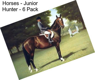 Horses - Junior Hunter - 6 Pack