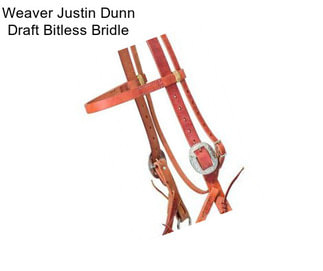 Weaver Justin Dunn Draft Bitless Bridle