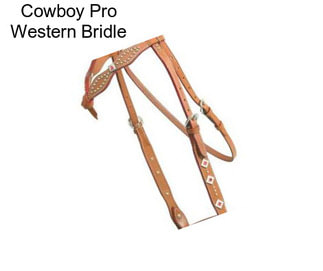 Cowboy Pro Western Bridle