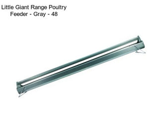 Little Giant Range Poultry Feeder - Gray - 48\