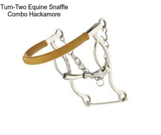 Turn-Two Equine Snaffle Combo Hackamore