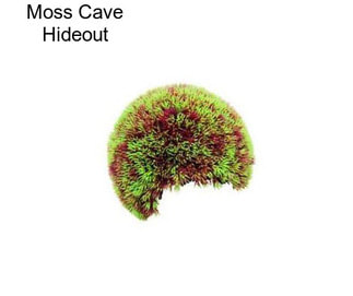 Moss Cave Hideout