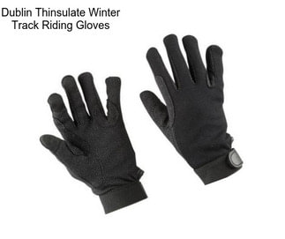 Dublin Thinsulate Winter Track Riding Gloves