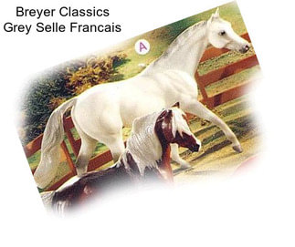 Breyer Classics Grey Selle Francais