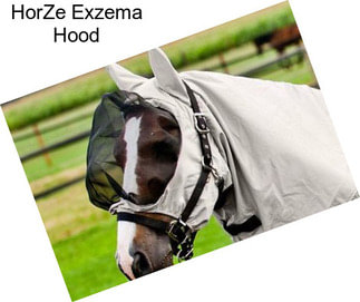 HorZe Exzema Hood