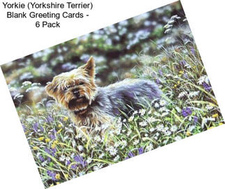 Yorkie (Yorkshire Terrier) Blank Greeting Cards - 6 Pack