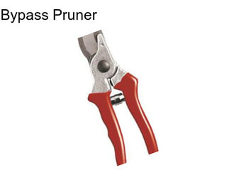 Bypass Pruner