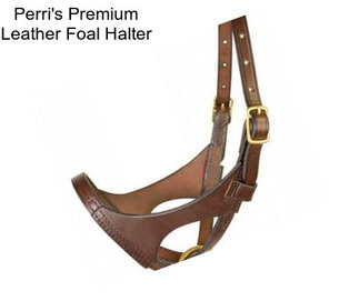 Perri\'s Premium Leather Foal Halter
