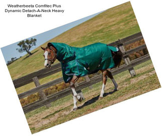 Weatherbeeta Comfitec Plus Dynamic Detach-A-Neck Heavy Blanket