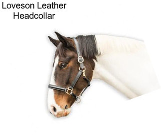 Loveson Leather Headcollar