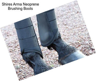 Shires Arma Neoprene Brushing Boots