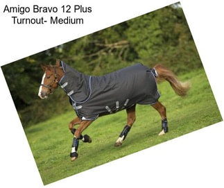 Amigo Bravo 12 Plus Turnout- Medium