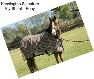 Kensington Signature Fly Sheet - Pony