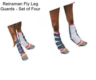 Reinsman Fly Leg Guards - Set of Four