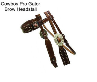Cowboy Pro Gator Brow Headstall