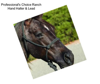 Professional\'s Choice Ranch Hand Halter & Lead