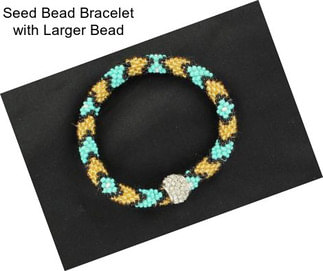 Seed Bead Bracelet with Larger Bead