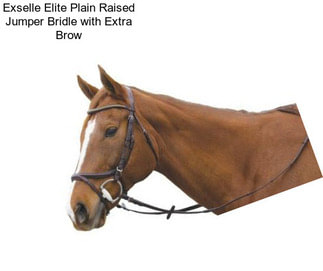 Exselle Elite Plain Raised Jumper Bridle with Extra Brow