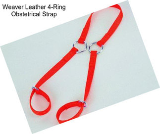 Weaver Leather 4-Ring Obstetrical Strap