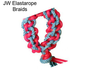 JW Elastarope Braids