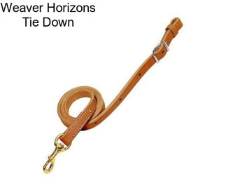 Weaver Horizons Tie Down