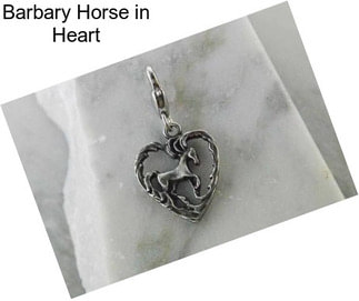 Barbary Horse in Heart