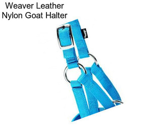 Weaver Leather Nylon Goat Halter