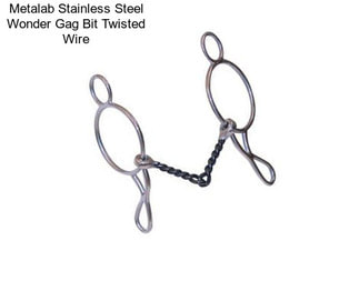 Metalab Stainless Steel Wonder Gag Bit Twisted Wire