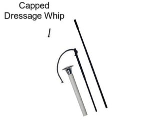 Capped Dressage Whip