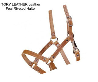 TORY LEATHER Leather Foal Riveted Halter