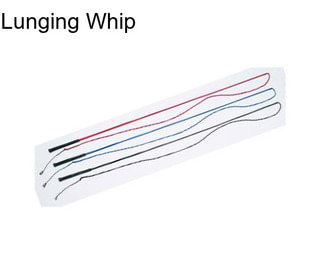 Lunging Whip