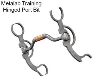 Metalab Training Hinged Port Bit
