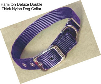 Hamilton Deluxe Double Thick Nylon Dog Collar