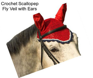 Crochet Scallopep Fly Veil with Ears