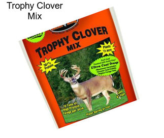 Trophy Clover Mix