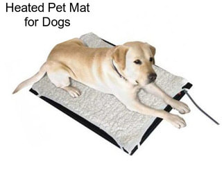 Heated Pet Mat for Dogs