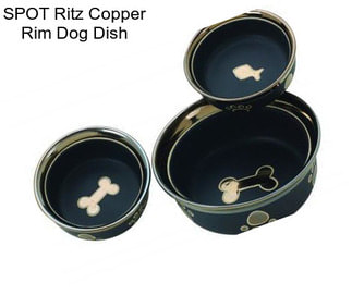 SPOT Ritz Copper Rim Dog Dish