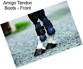 Amigo Tendon Boots - Front