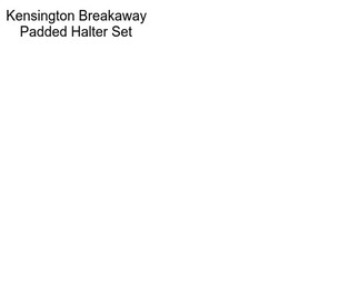 Kensington Breakaway Padded Halter Set