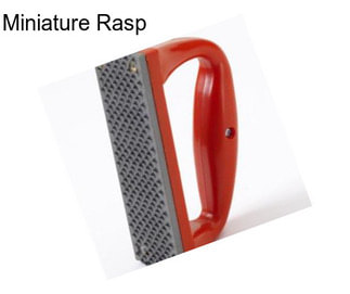 Miniature Rasp