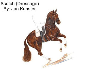 Scotch (Dressage) By: Jan Kunster