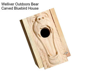 Welliver Outdoors Bear Carved Bluebird House