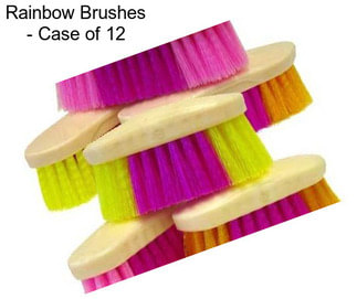 Rainbow Brushes - Case of 12