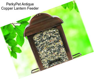 PerkyPet Antique Copper Lantern Feeder