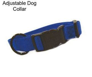 Adjustable Dog Collar