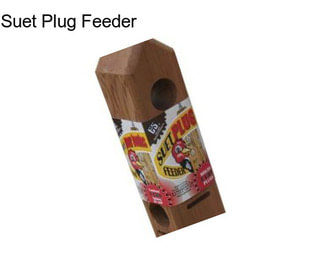 Suet Plug Feeder